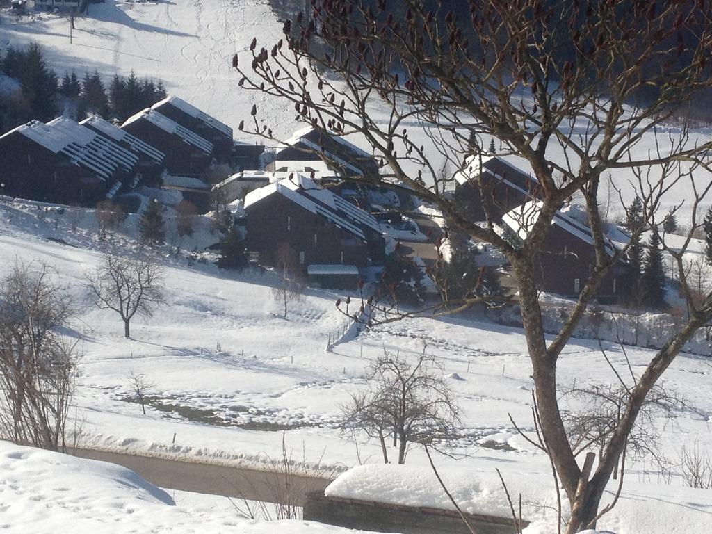 סאסבאכוואלדן Hotel-Berggasthof Schwarzwaldperle מראה חיצוני תמונה